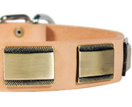 Designer Dog Collar for Cane Corso-Leather Custom Collar